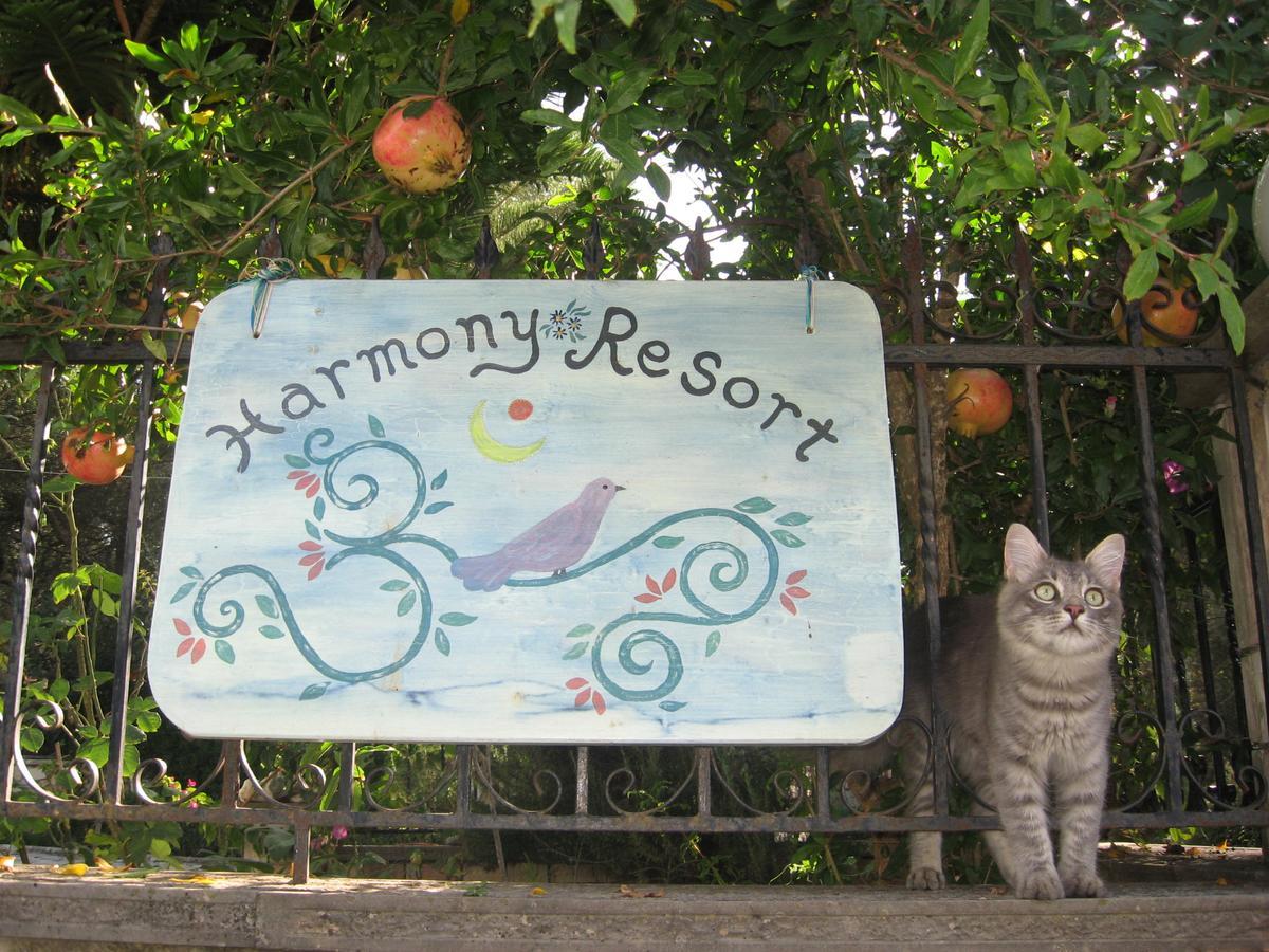 Harmony Resort Parga Luaran gambar